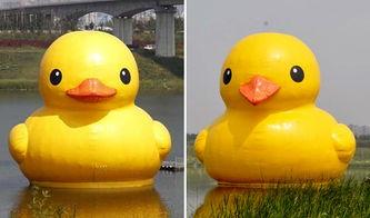 大黄鸭视频高清国产,国产高清动画的视觉盛宴