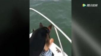 国产嘘嘘视频在线观看,揭秘国内热门短视频平台上的趣味瞬间