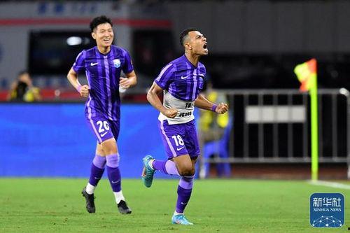 国产前锋于根伟视频,国产前锋的足球传奇与辉煌岁月