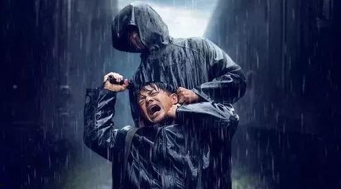 经典国产电影暴雪视频,国产电影中的冰雪奇缘