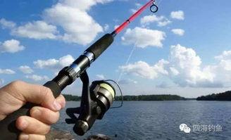 国产大鱼竿钓鱼视频,视频解析与技巧分享