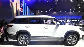 国产车打路虎视频播放,视频揭秘性能对决！