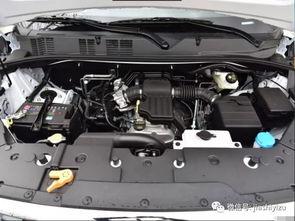 国产车打路虎视频播放,视频揭秘性能对决！