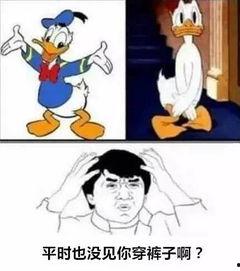 国产智障儿童动画视频,智障儿童视角下的欢乐与反思