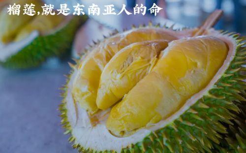 国产榴莲突破泰国视频,引领新食尚潮流