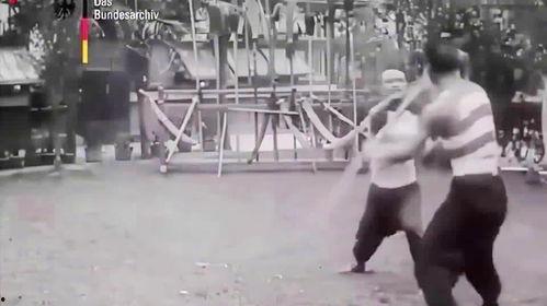 国产武术家视频,跟随武术家视频领略中华武术风采