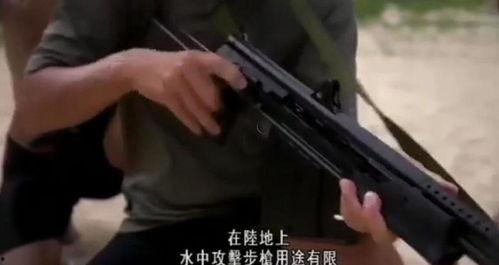 中国国产步枪有哪些视频,中国自主研制枪械视频集锦