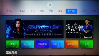 你懂的微视频国产在线,展现时代风采，引领网络潮流