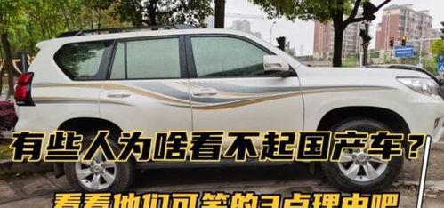 讽刺开国产车的人的视频,揭秘讽刺背后的真相与反思