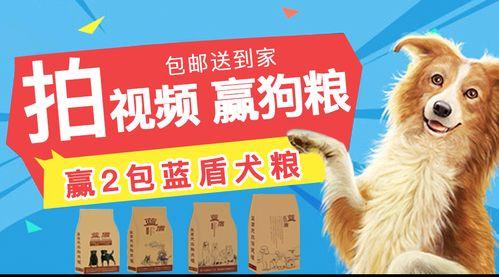 国产小众狗粮视频,品质生活从“粮”开始