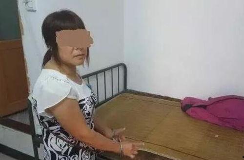 国产少妇对话视频下载,揭秘真实生活片段