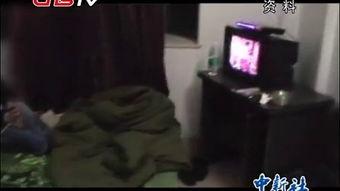 国产大陆男同志直播视频,展现真实情感与生活点滴